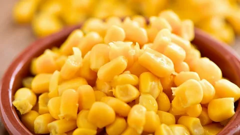 کنسرو ذرت بیژن تکمیل کننده طعم غذاهای خانگی